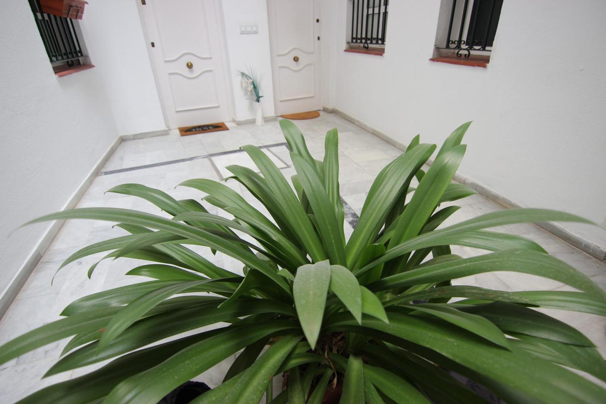 Apartamento Corazon De Triana Sevilla Exteriör bild